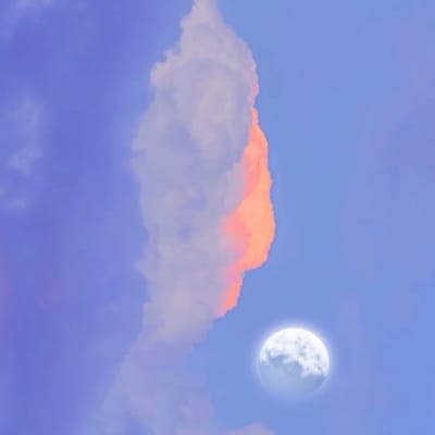 فرحان علی avatar